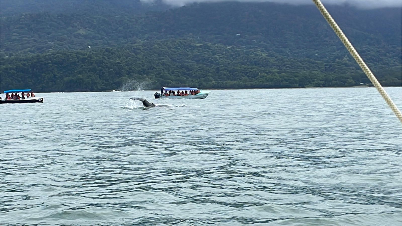 Customer adventure 6