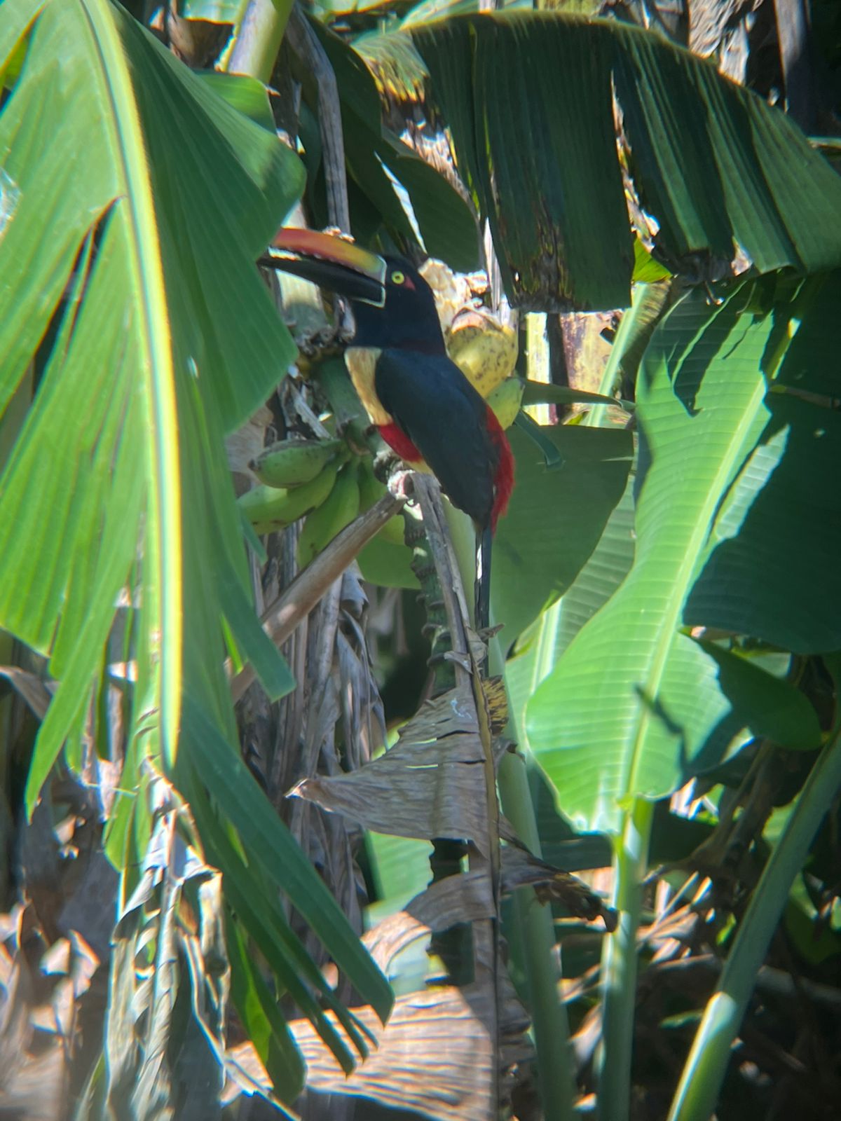 Customer adventure 4