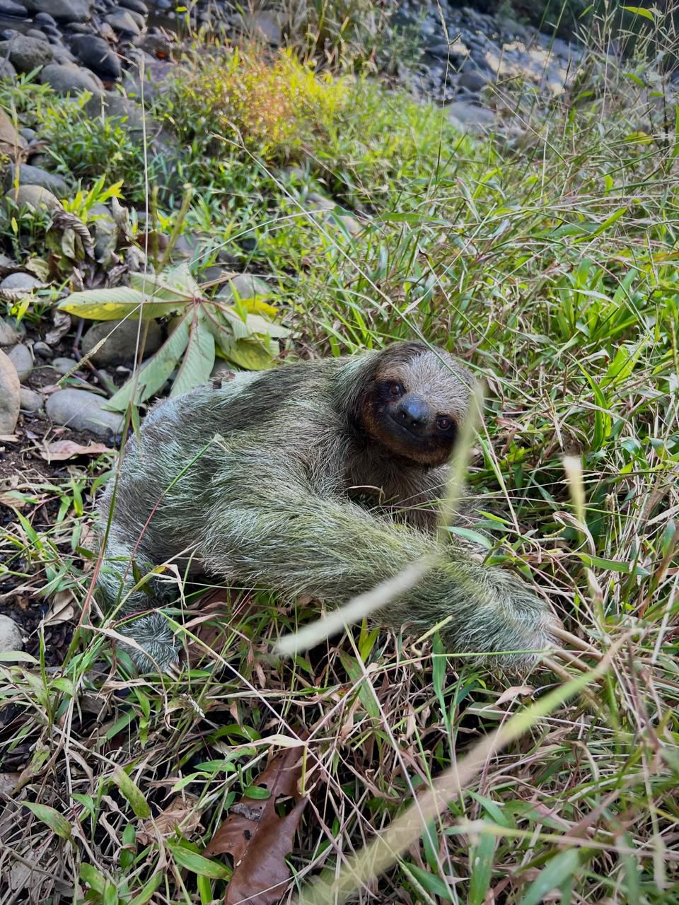 Customer adventure 3