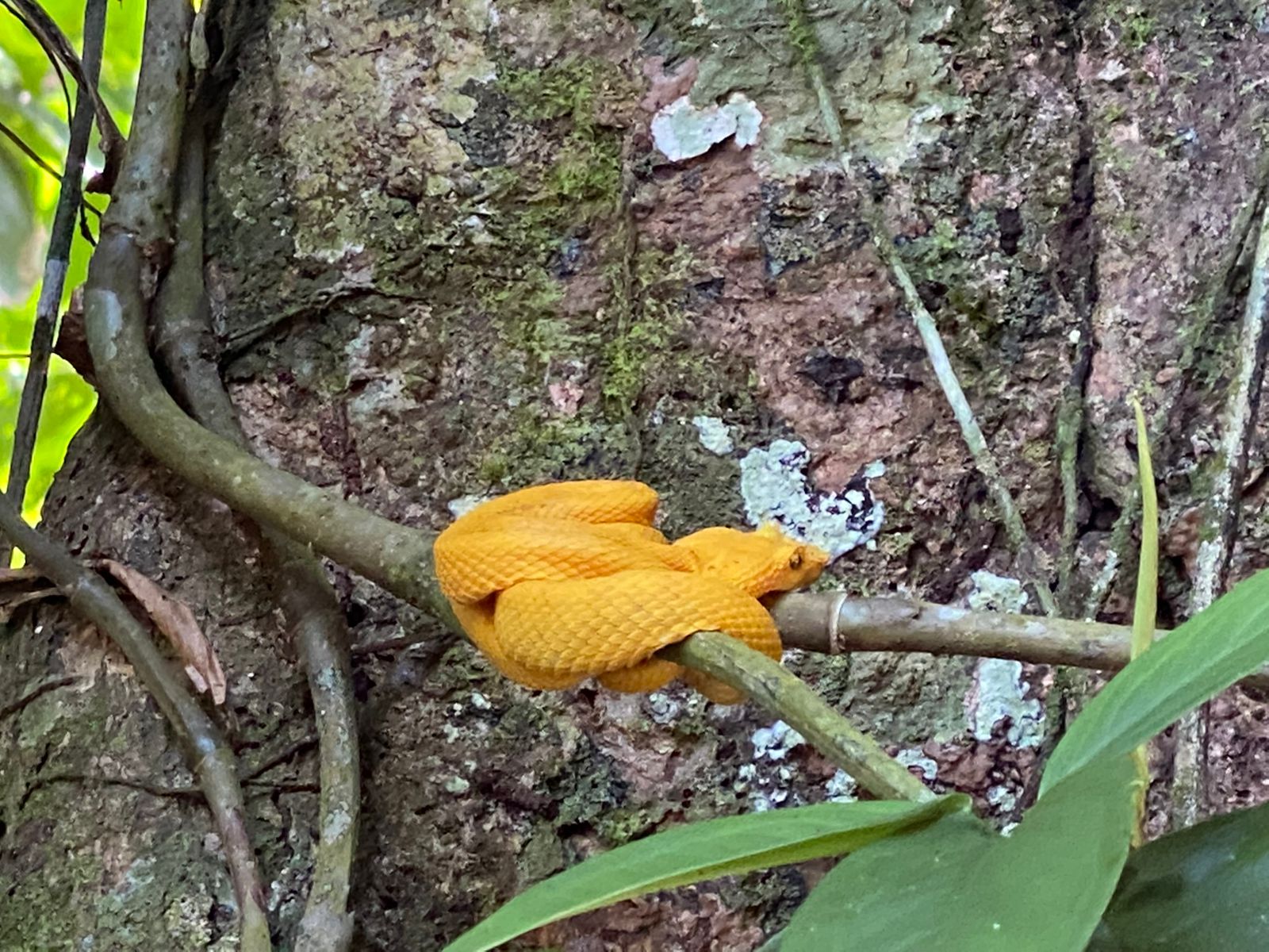 Customer adventure 2