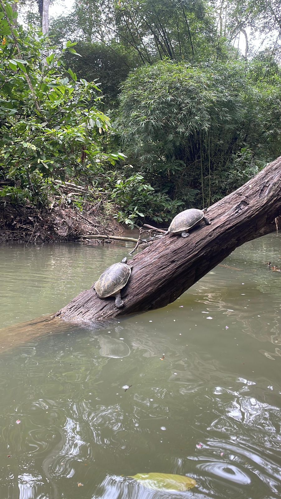 Customer adventure 6