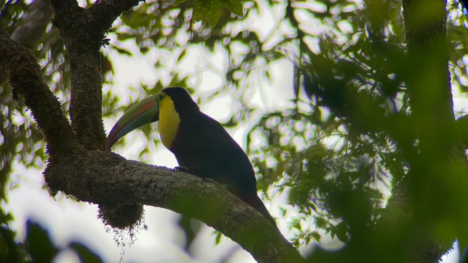 Customer adventure 5